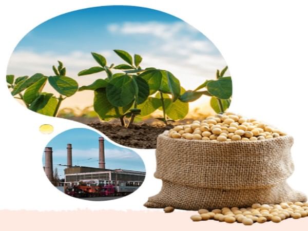 Patanjali-backed Ruchi Soya raises Rs 1,290 crore from anchor investors