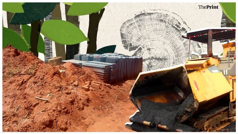 Auroville is having a Crown headache — The laboratory of evolution is divided