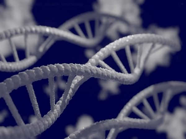 Research finds childhood trauma, genetics associated with increased risk of obesity