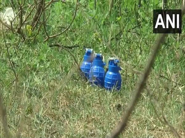 Haryana: 3 hand grenades, 1 IED recovered on Ambala-Chandigarh highway