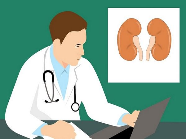 Study shows promising results for using sound waves to break up kidney stones