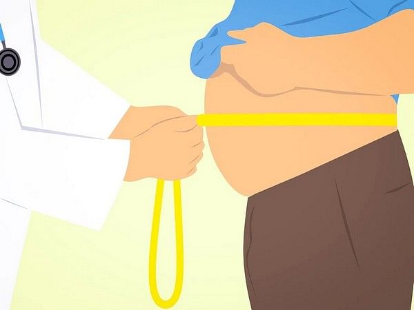 Research: Greater body fat contributes as risk factor for reduced thinking, memory ability
