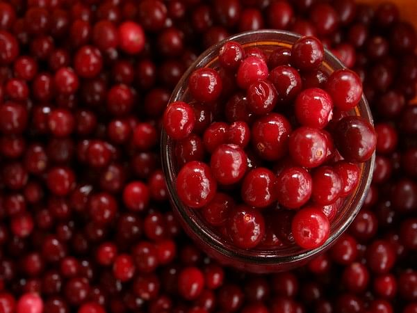 Daily consumption of cranberries can improve cardiovascular health, suggests study