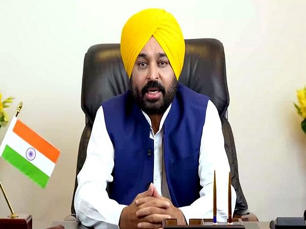 Punjab CM Bhagwant Mann terms Paitala clashes 'highly deplorable', urges people to maintain law and order