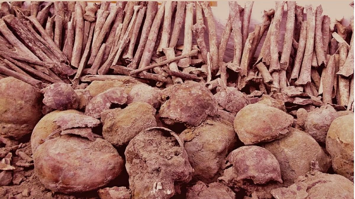 Skeletal remains excavated from Punjab's Ajnala | Centre for Cellular and Molecular Biology