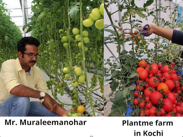 PlantMe Agro Solutions partners with cafes and resorts to provide  pesticide-free food