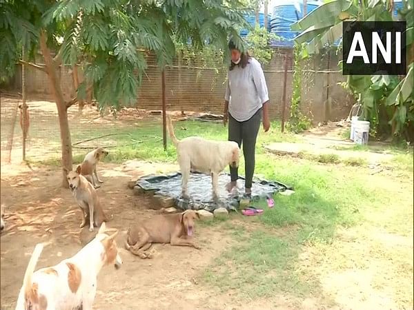Odisha: Bhubaneswar-based NGO providing shelter to animals amid soaring temperatures