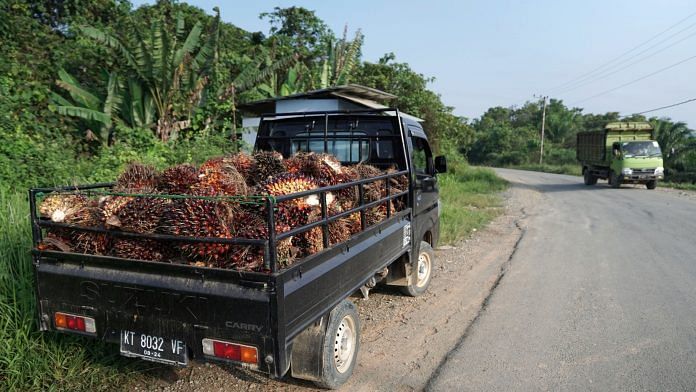 Harvested palm oil fruit bunches on a truck in East Kalimantan, Borneo, Indonesia | Bloomberg Photo