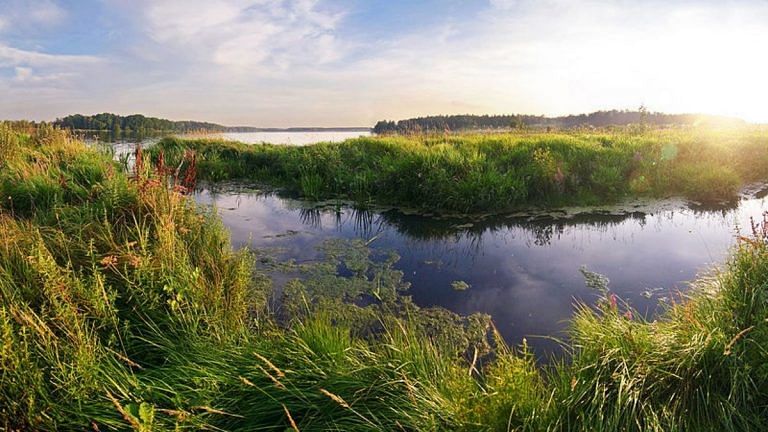 Wetlands are a versatile climate and biodiversity ‘hack’. But we’ve lost 80% of it