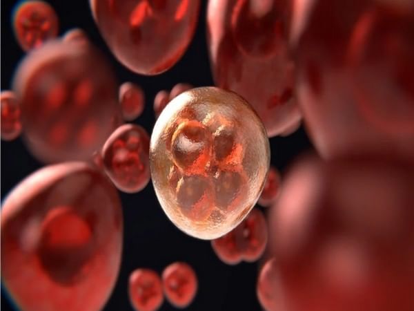 Scientists discover cluster of cells in brainstem to battle blood loss