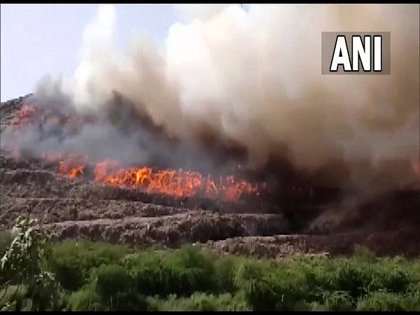 Ghazipur landfill fire: NGT constitutes committee headed by former Delhi HC judge