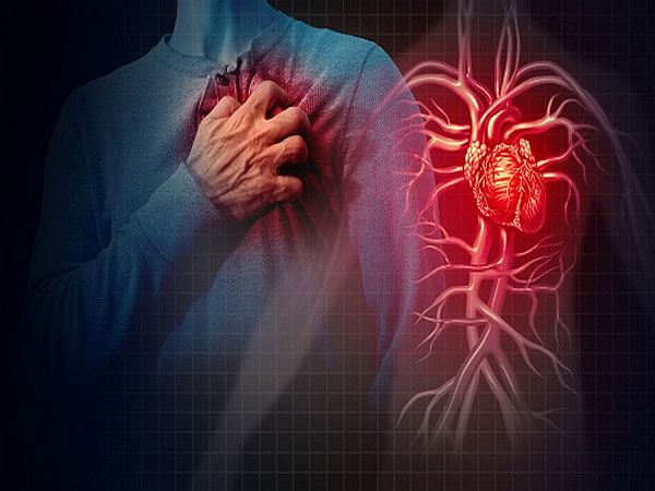 Acetylcholine can prevent inflammation in heart, blood vessels: Research