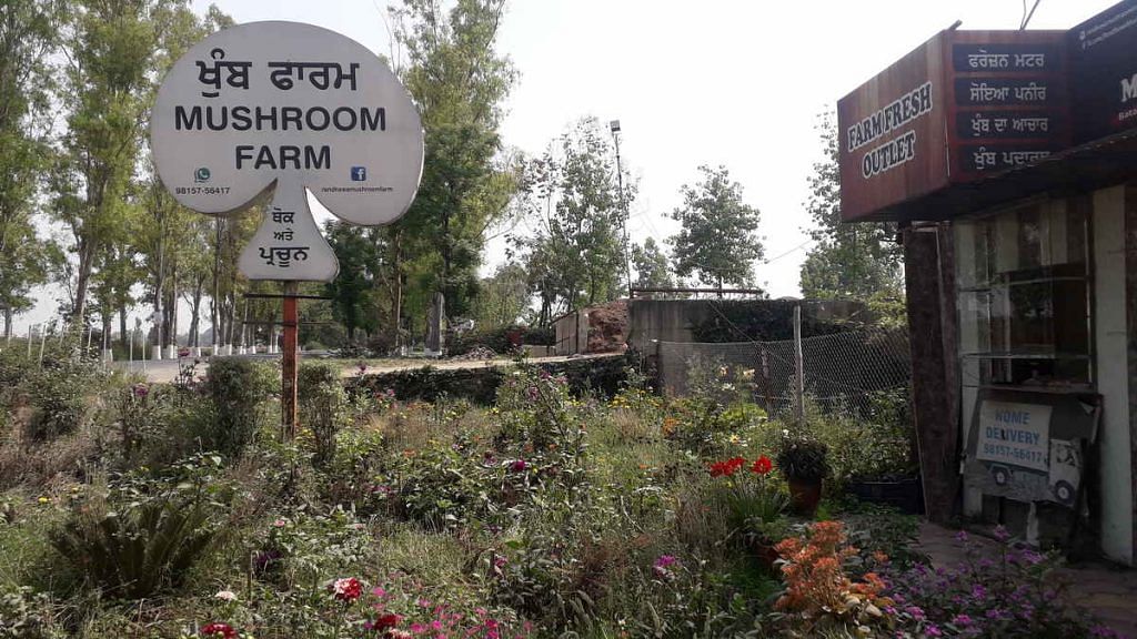 Outside Randhawa Mushroom Farm in Dhardeo, Amritsar district | Abhishek Dey | ThePrint