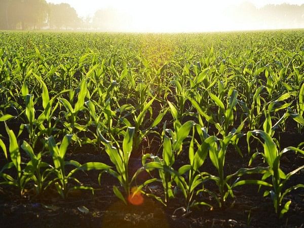 Agriculture will play important role in reducing greenhouse gas emissions, says study