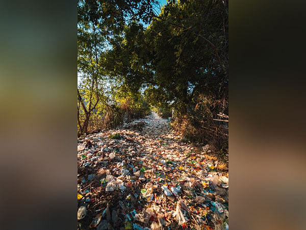 Technique to turn plastic waste trash into carbon dioxide sorbent discovered by scientists