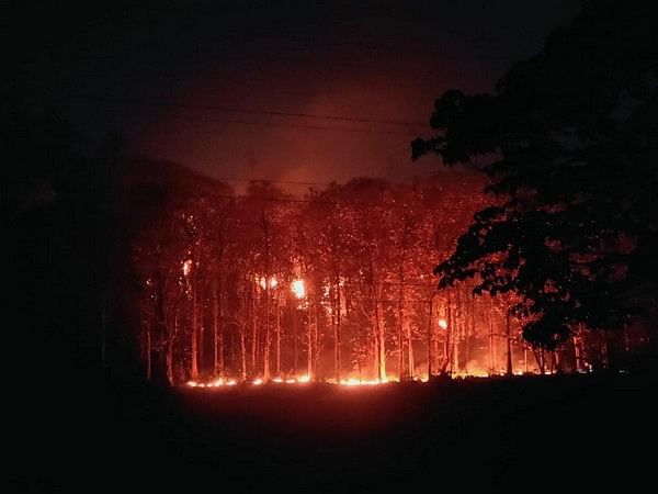 Nepal deploys helicopter to control forest fire on outskirts of Kathmandu