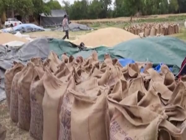 India's wheat stock significantly higher than strategic requirements, exports to 'boost' farmers' income  