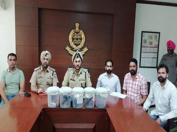 Punjab police arrest three persons, avert impending attack on Malwa businessman: DIG