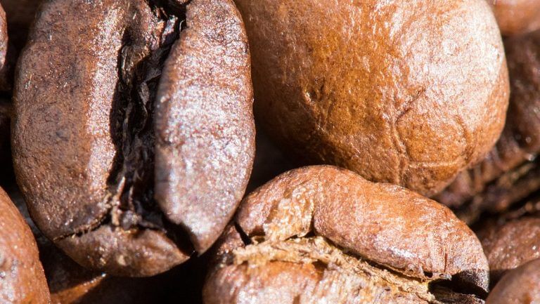 Does drinking coffee help you burn fat? Let’s find out