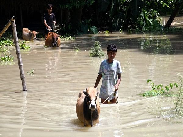 Assam floods: Around 40 highlands constructed for providing shelter to animals – ThePrint – ANIFeed