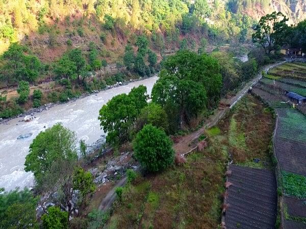 Uttarakhand: Organic farming, afforestation efforts by NMCG improve Ganga health