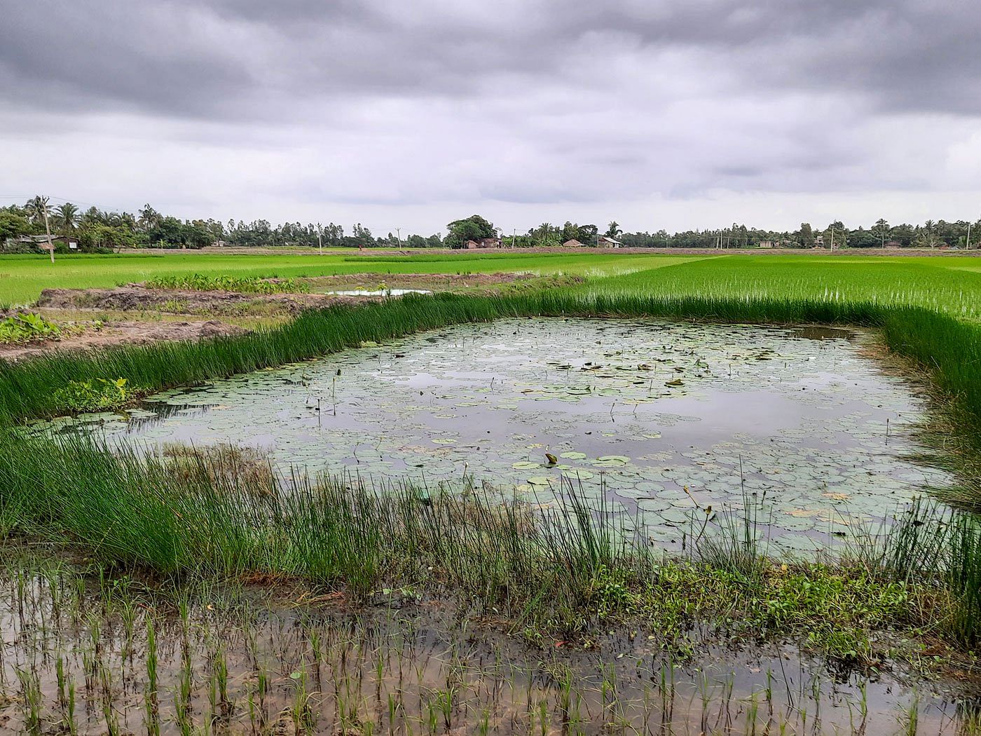 ‘Didn’t want others to know I had miscarried’—Women in Sundarbans ...