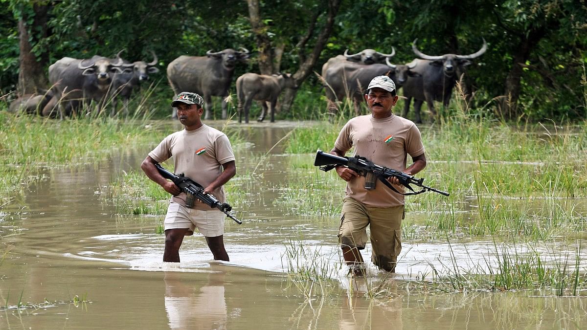 Forest guards on duty in Assam's Pobitora Wildlife Sanctuary | ANI File Photo