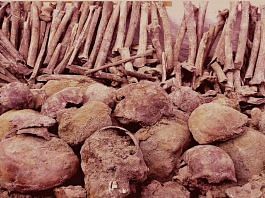 Skeletal remains excavated from well in Punjab’s Ajnala | Centre for Cellular and Molecular Biology