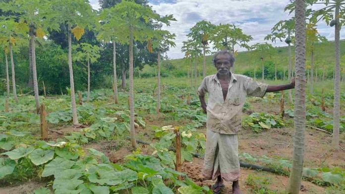 W. Premasiri standing on the land where he grows his dwindling crop of bananas, pumpkin, and papayas | Sowmiya Ashok | ThePrint
