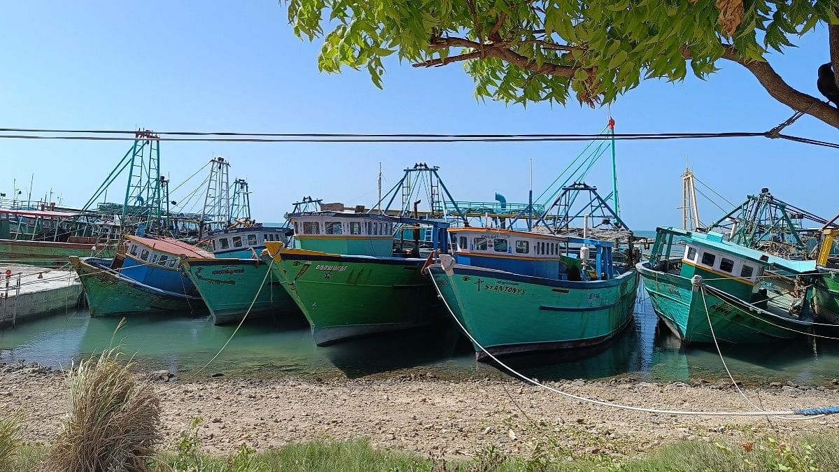 Indian trawler boats seized by Sri Lankan Navy parked at Myliddy Harbour | Sowmiya Ashok | ThePrint