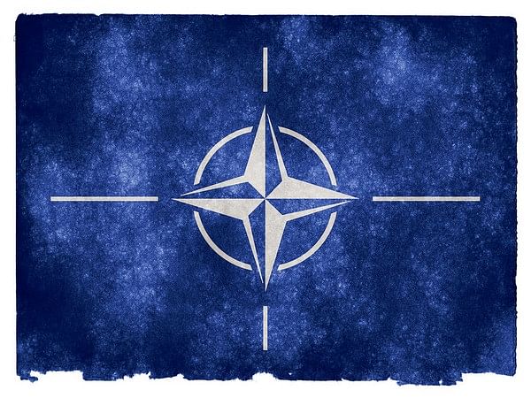 Swedish Green Party Opposes Sweden Accession to NATO