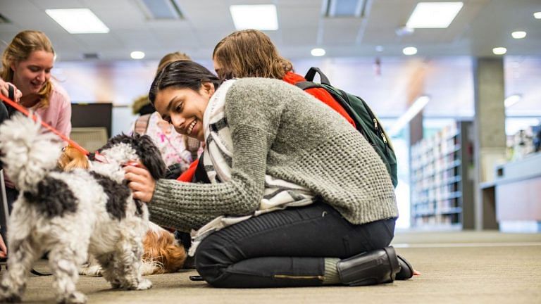 Art, dogs and music: the ‘treatment’ you didn’t know you needed to recover from illnesses