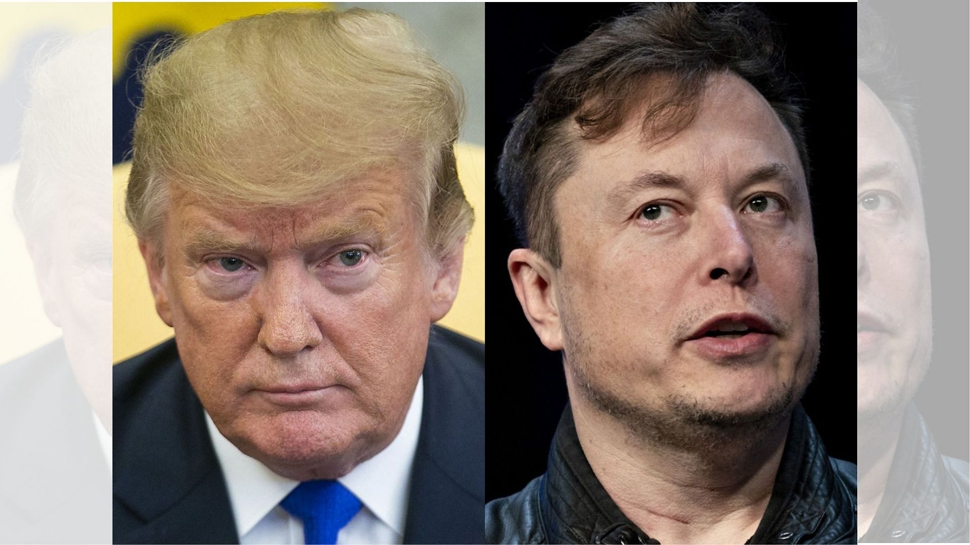 Donald Trump (L) and Elon Musk Donald Trump (L) and Elon Musk