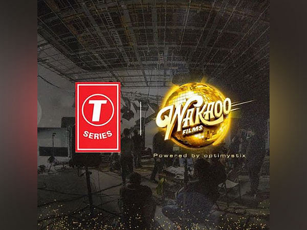 T Series Net Worth 2024: YouTube Income and Owner Earnings