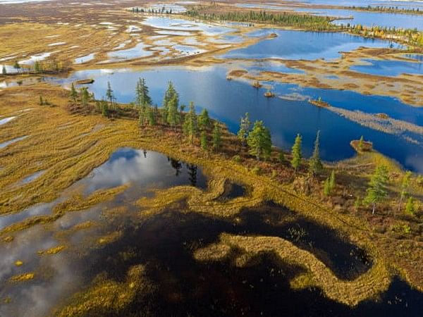 Research: Siberian Tundra could virtually disappear by mid-millennium
