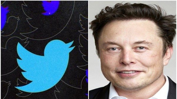 Twitter shares dip 20 pc after Musk puts $44 billion takeover 'on hold'