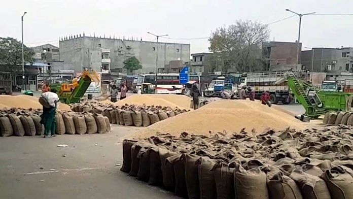 File photo of wheat procurement in Ludhiana | Photo: ANI