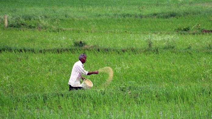 File photo of a farmer using fertilisers | Photo: ANI