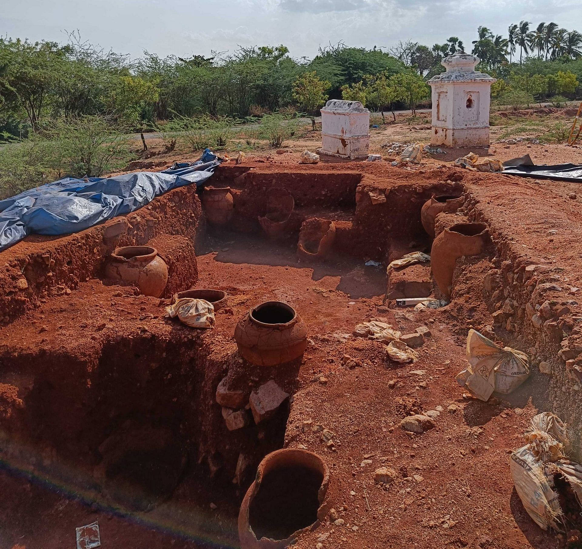 Sivagalai archaeological site from where rice husk and soil samples were unearthed. | Photo Credit: Sowmiya Ashok