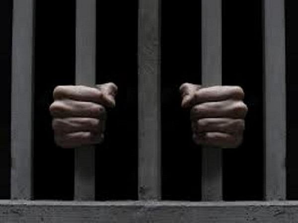 Jubilee Hills rape case: Accused Saduddin Malik sent to 3-day police custody