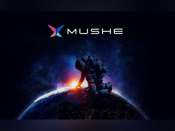 How to invest in Mushe (XMU), XRP(XRP), and Fantom (FTM) in a bear market?