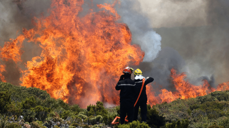 Worldwide biodiversity loss may push developing nations into default, says research