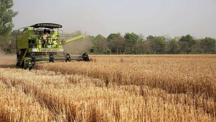 File photo of wheat being harvested at a farm in Punjab | ANI