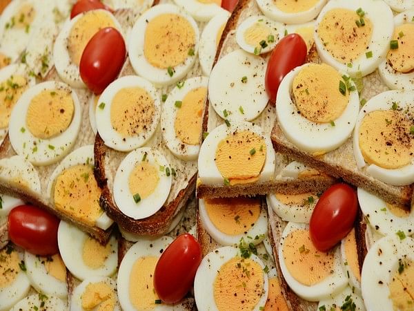 Study: Consuming moderate quantity of eggs can boost heart-friendly, healthy metabolites in blood