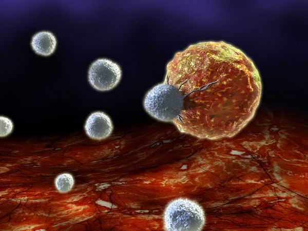 Study: A potential target for future therapies to treat inflammatory diseases