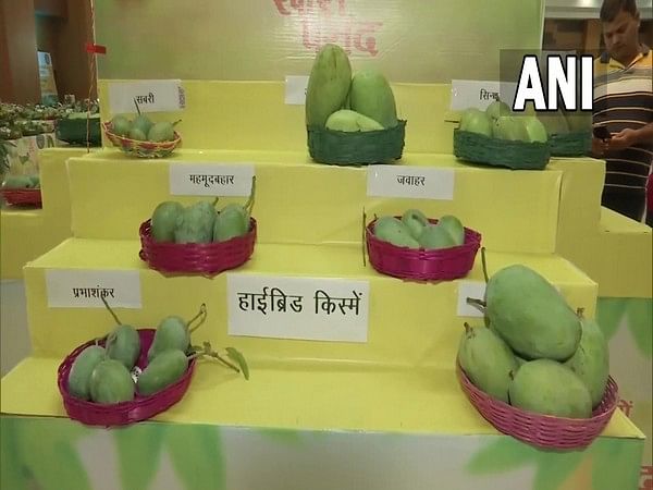 Bihar: Two-day Aam Mahotsav 2022 underway in Patna 