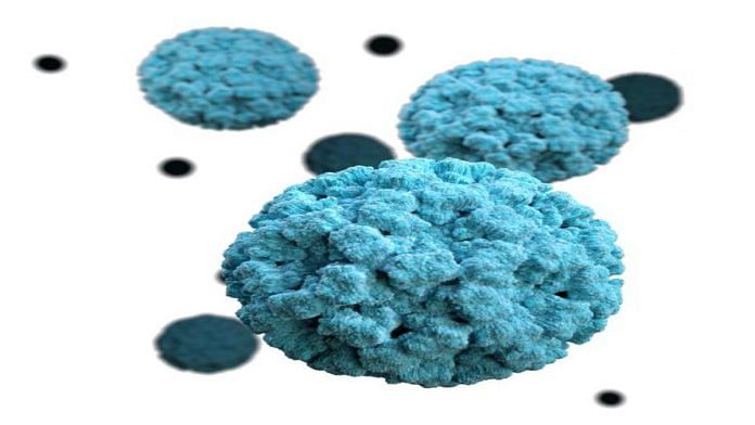A 3D representation of norovirus | Commons
