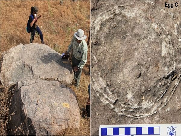 New fossil discovery from Central India throws light on the reproductive biology of sauropod dinosaurs