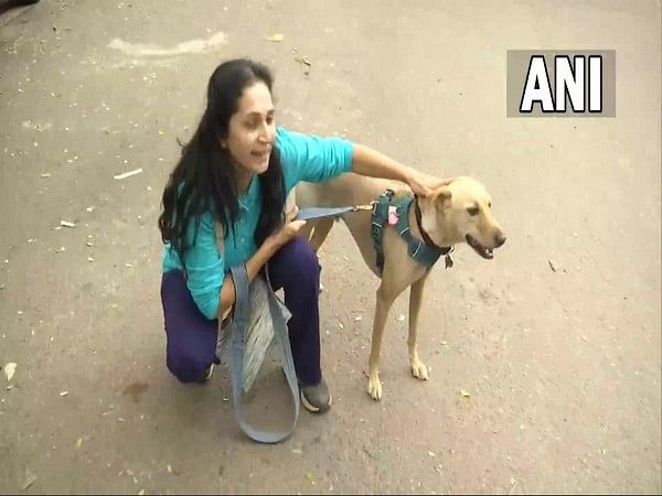 Pet dogs to be banned in Bengaluru's Cubbon Park, animal lovers irked