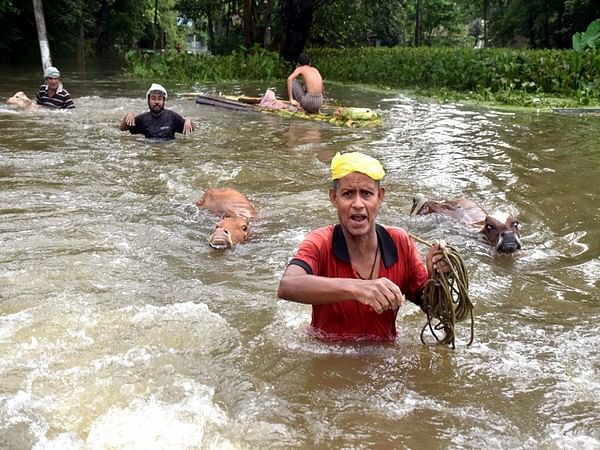 A visual from Assam's flood-hit Nalbari district | ANI